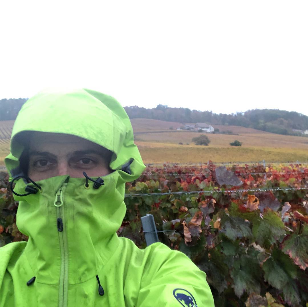 Lovely weather to pretend you went for a walk ;-)