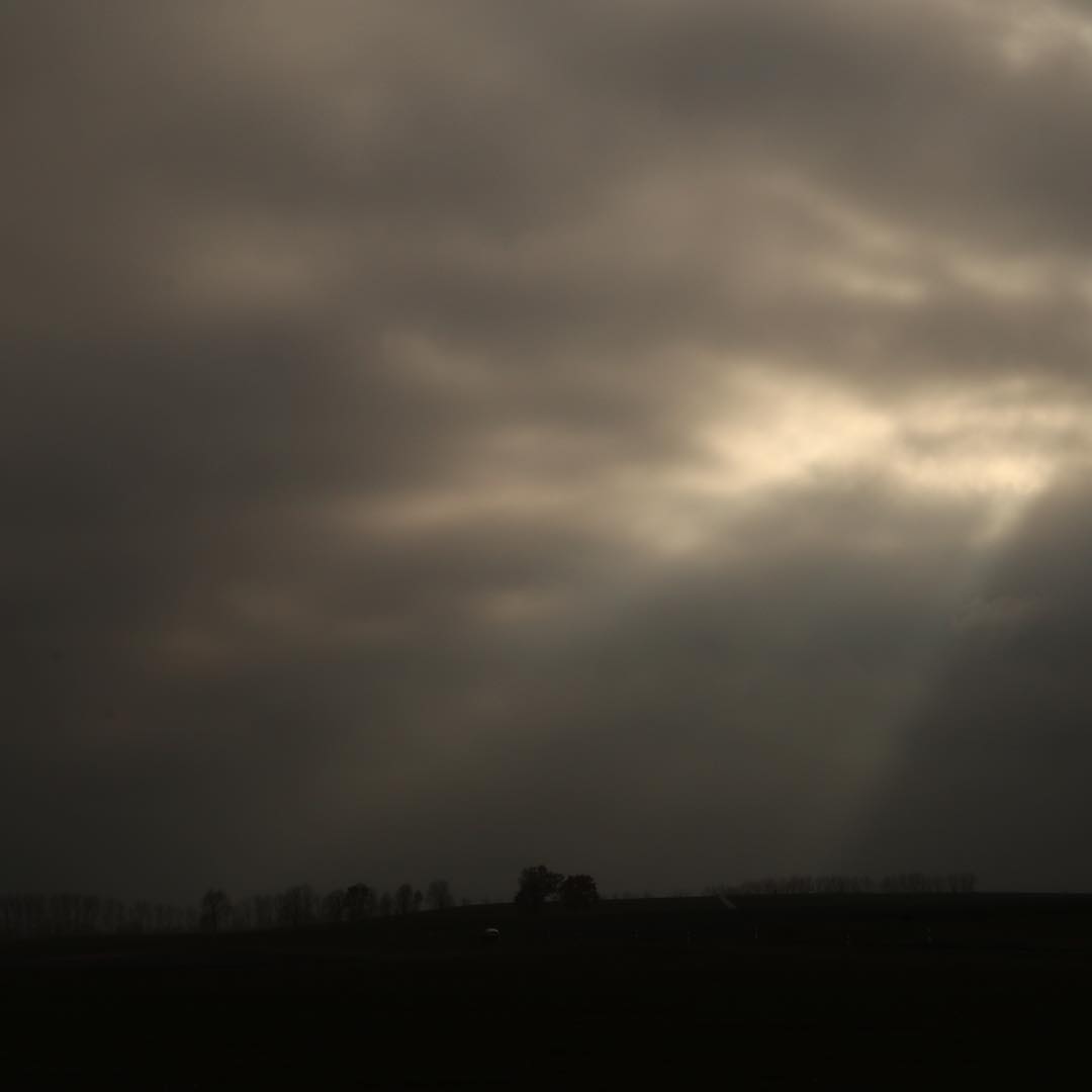 Autumn light