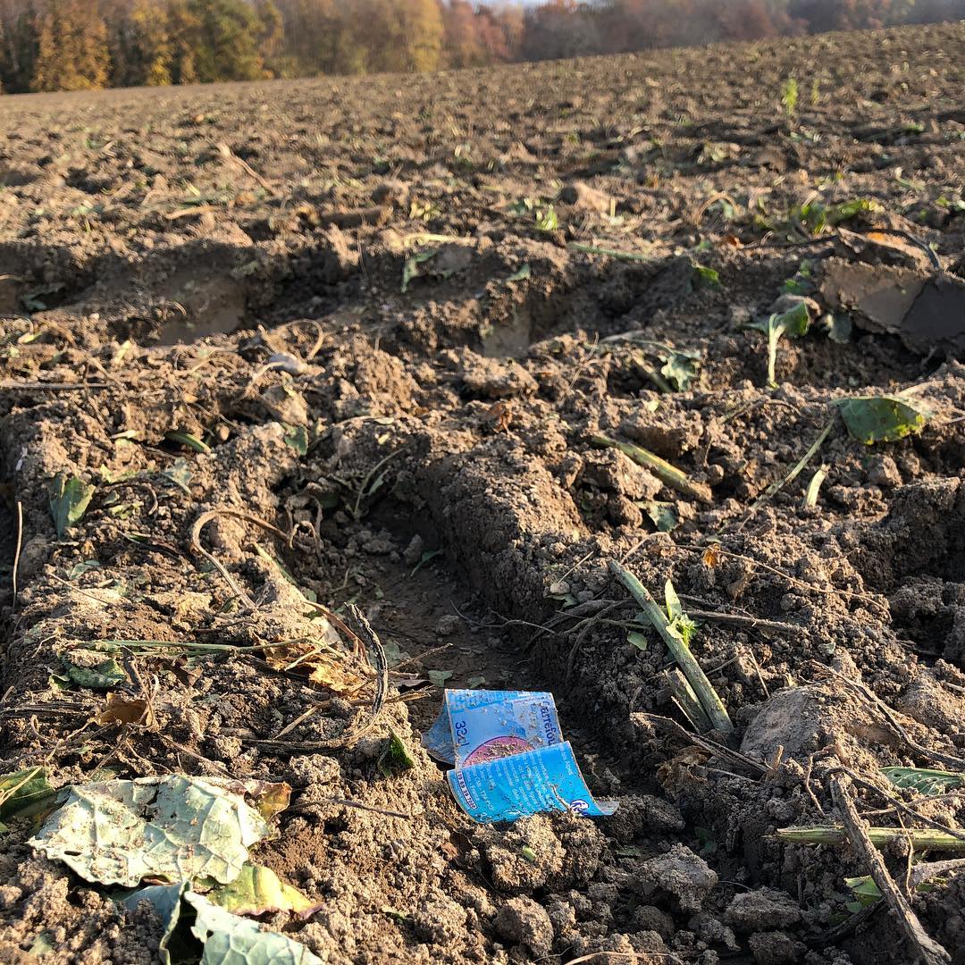 Throwing rubbish out of a car means you get plastic in fields growing sugar beet.