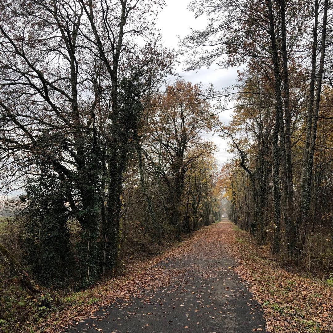 Autumn bike ride.