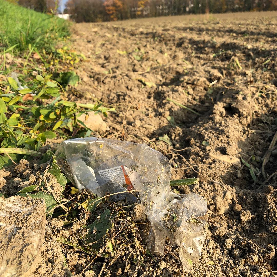 Throwing rubbish out of a car means you get plastic in fields growing sugar beet.