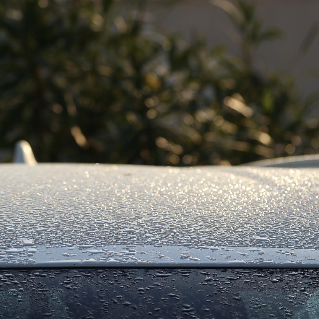 Morning dew.