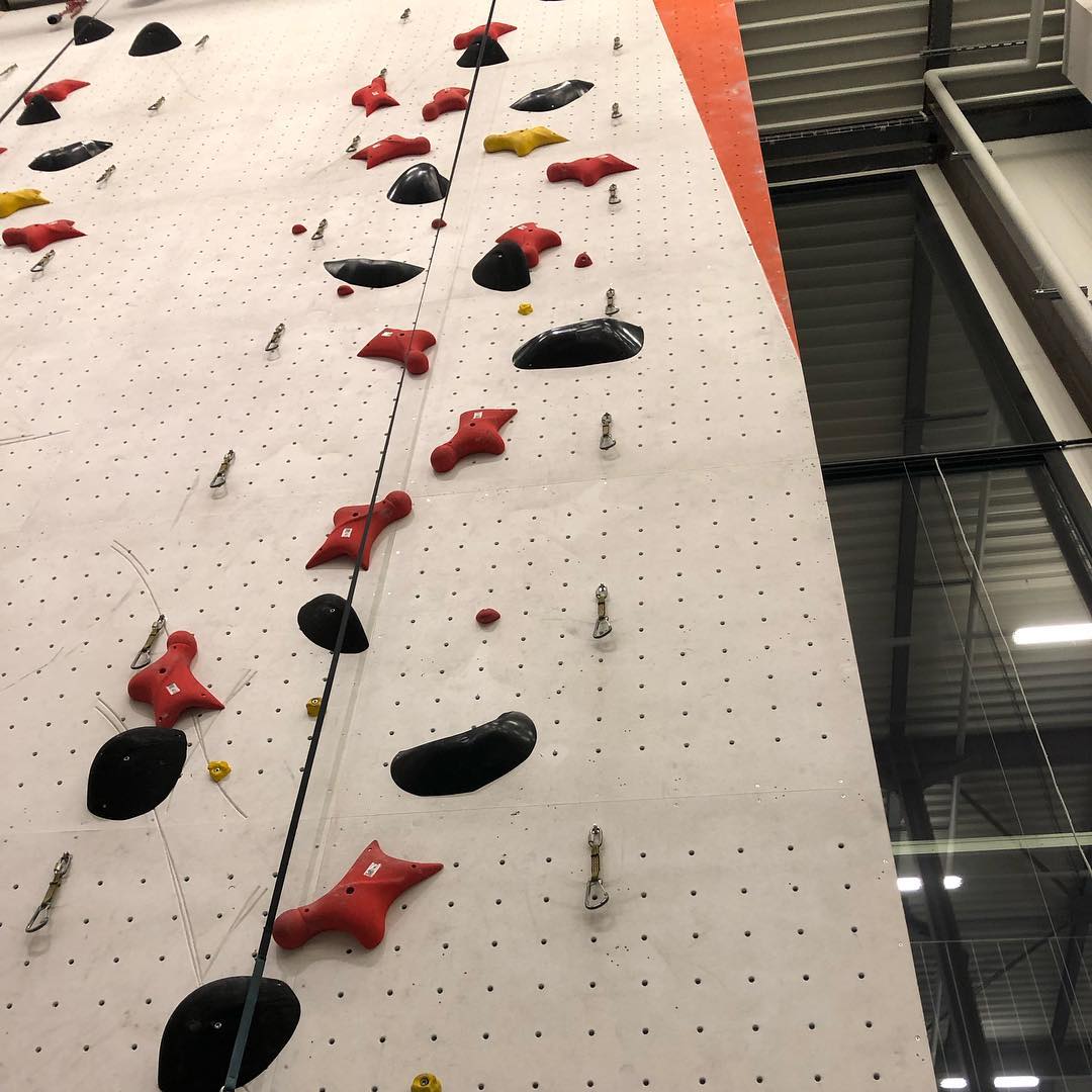 Tomorrow I can practice my technique as a squirrel or lizard.
