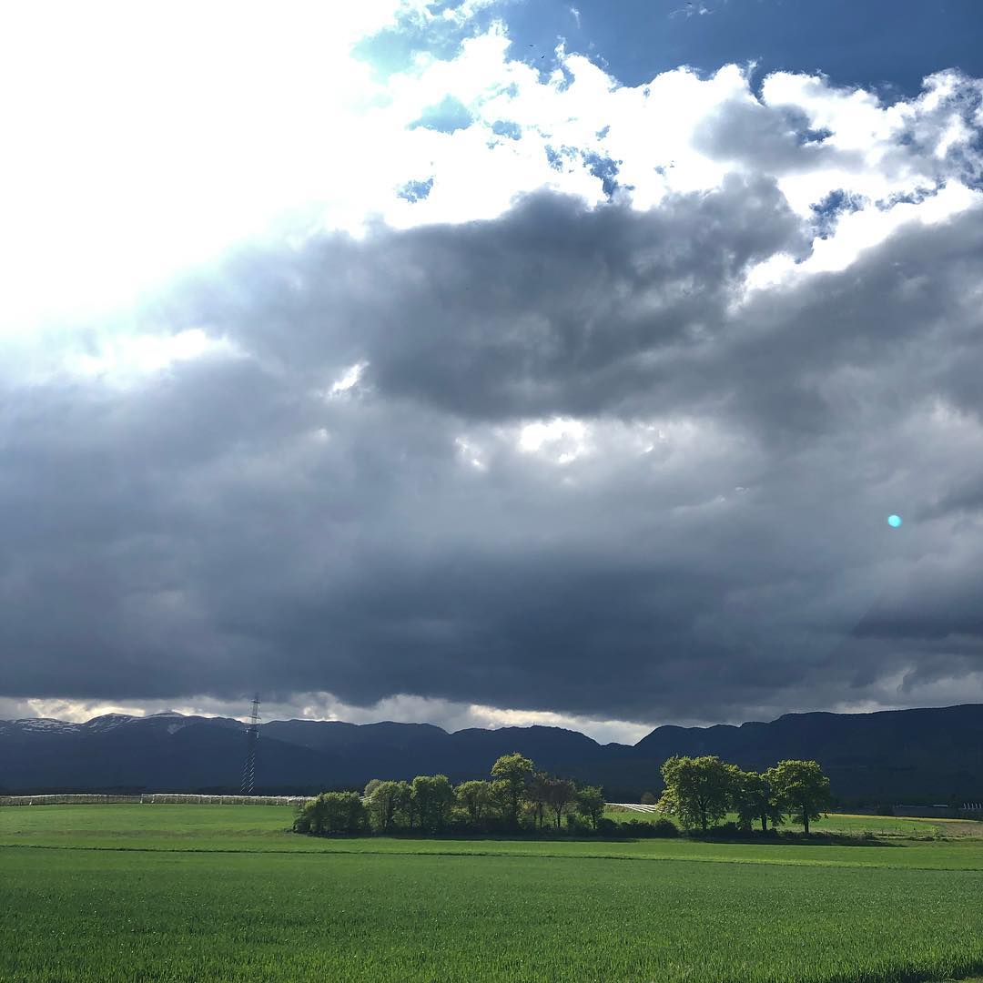 Afternoon bike ride.