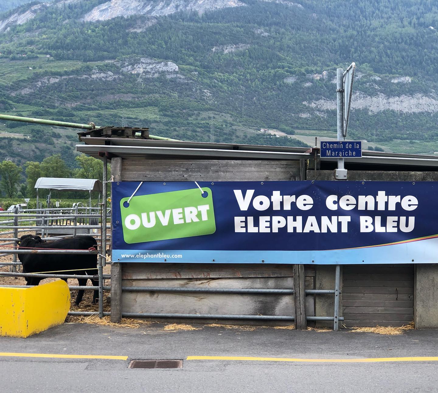 They have strange elephants ;-)