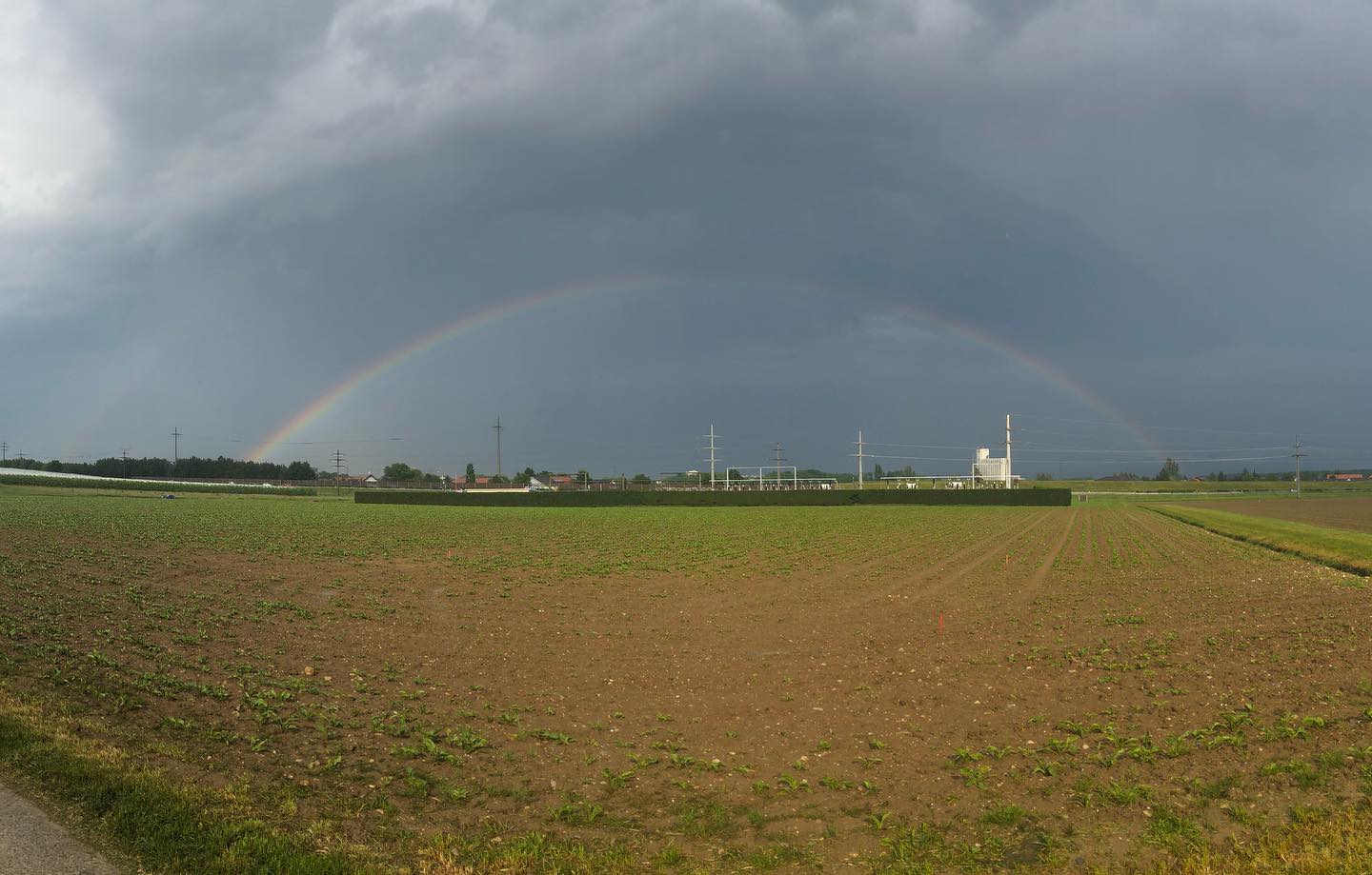 You can see the double rainbow.