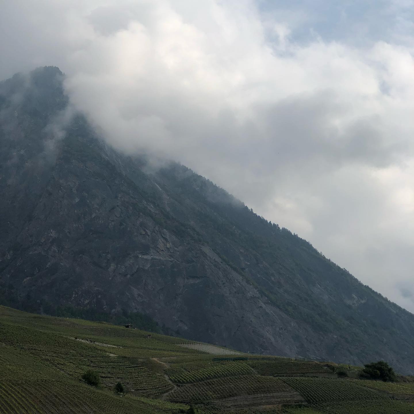 Climbing soon. The VF, not this.
