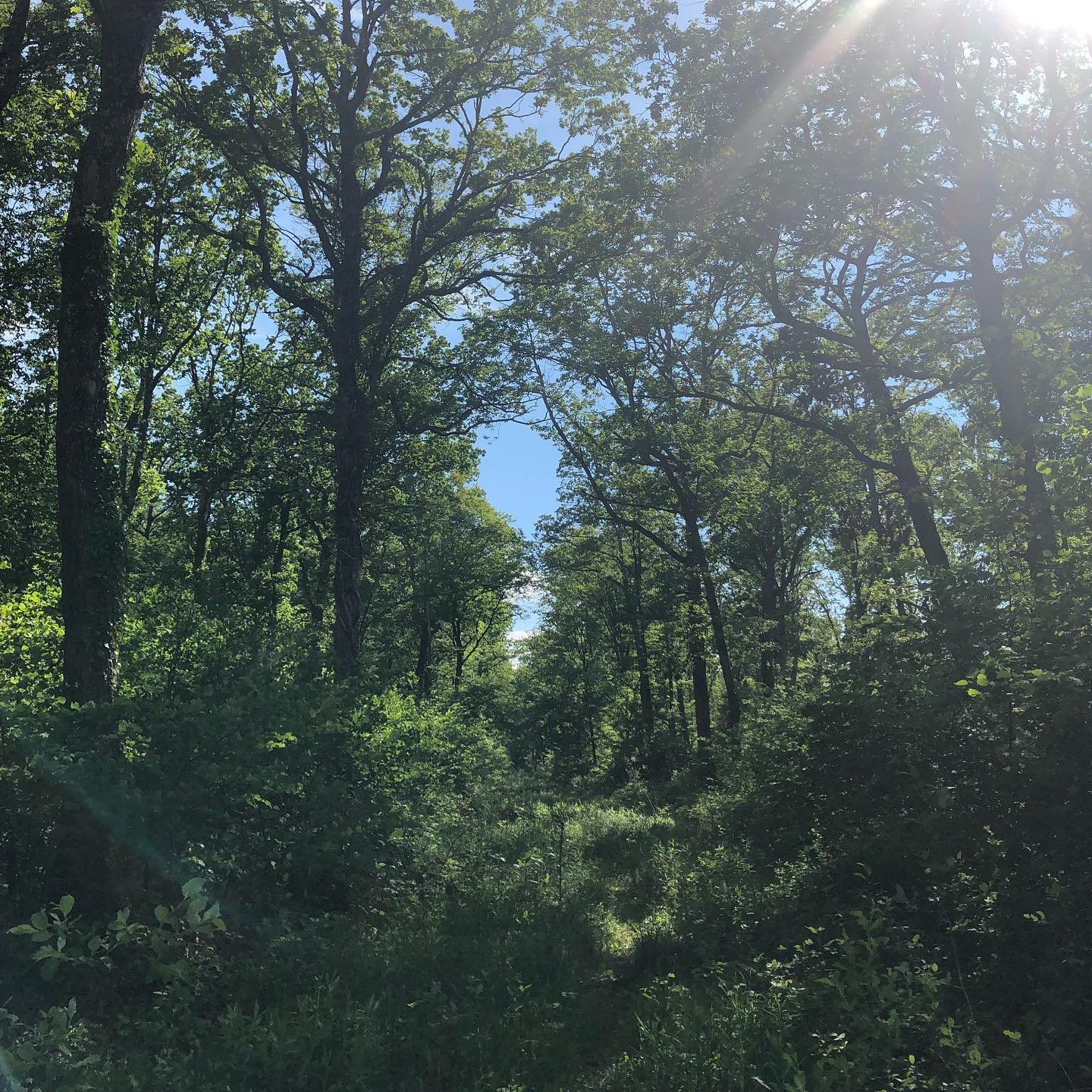 Exploring