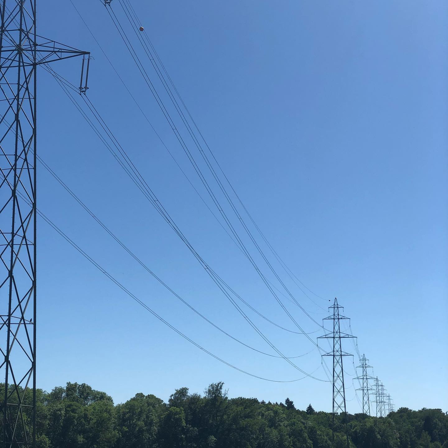 Pylons, not ducks, in a row.
