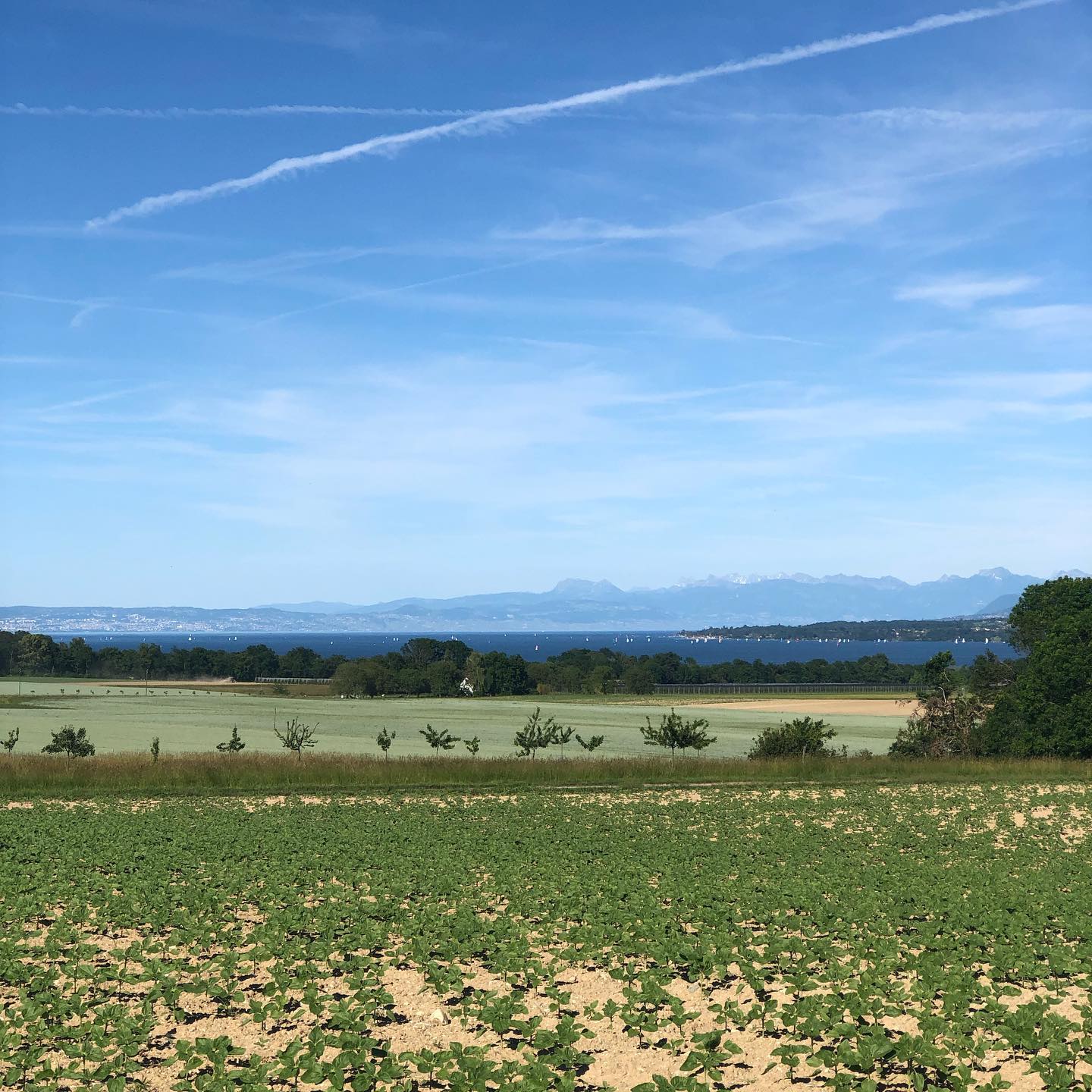 The trauma of cycling in Switzerland