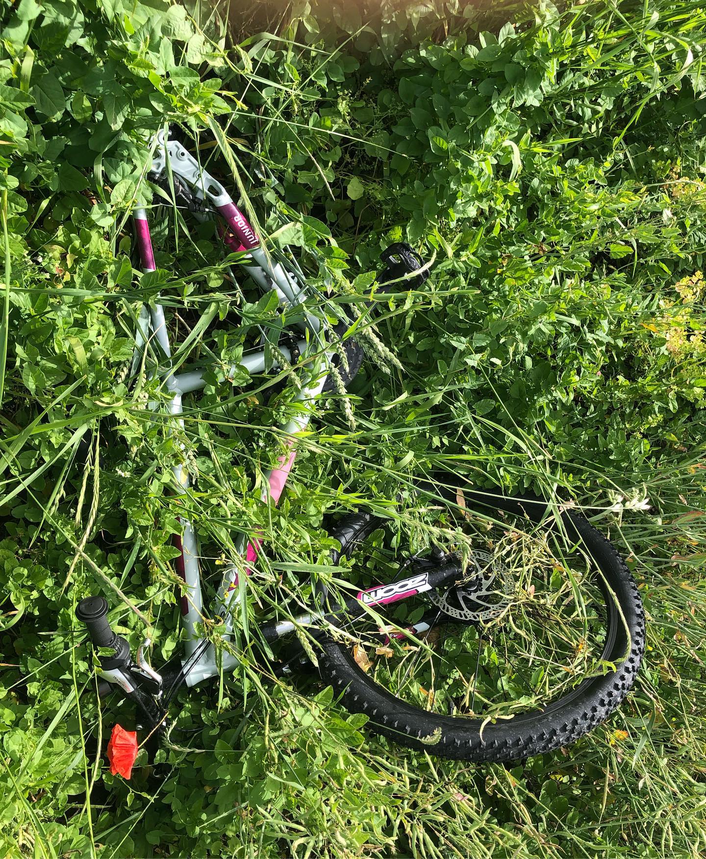 I think someone had a puncture, removed the rear wheel and went to get it fixed before coming back. without a bike lock hiding it in the grass makes sense.