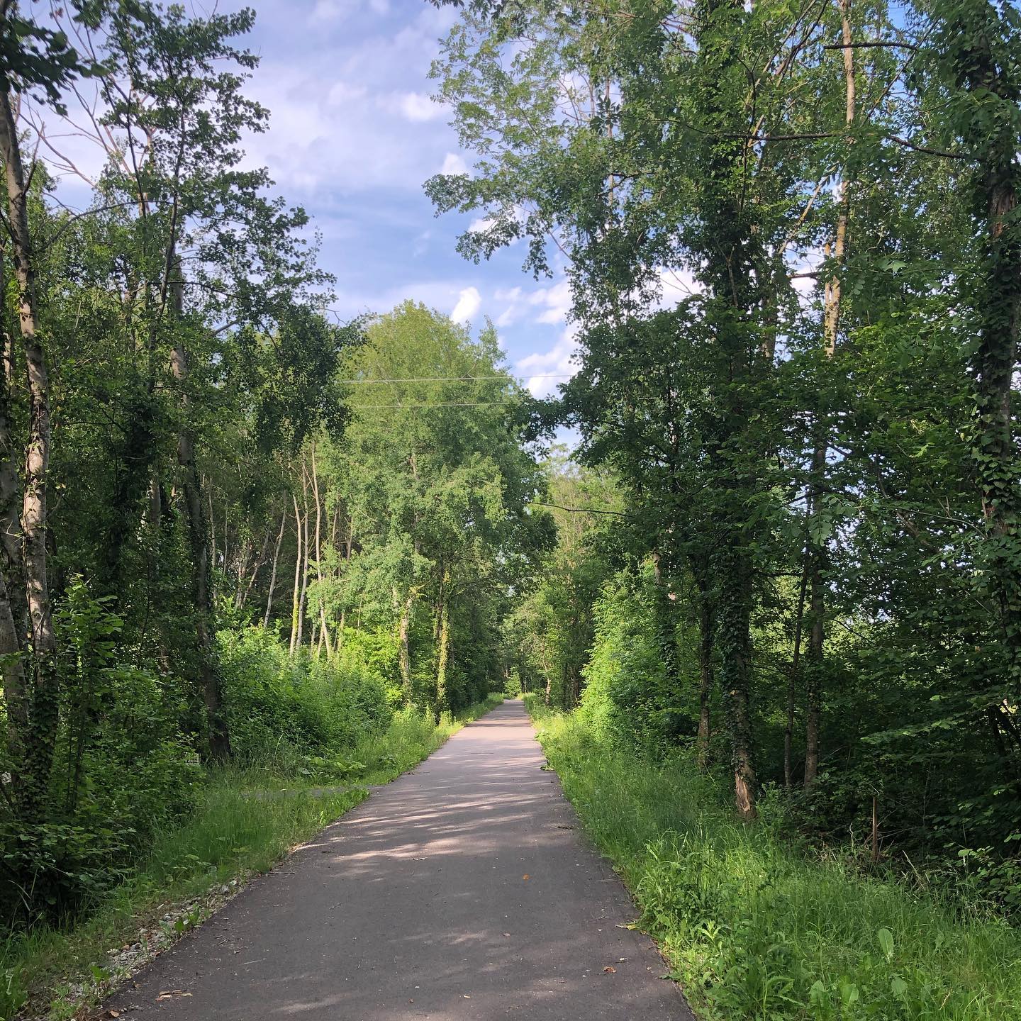 When you cycle from Mies towards France you can then take this path through the trees rather than the main road. It takes you from near the border to Crassier with little exposure to cars. :-)