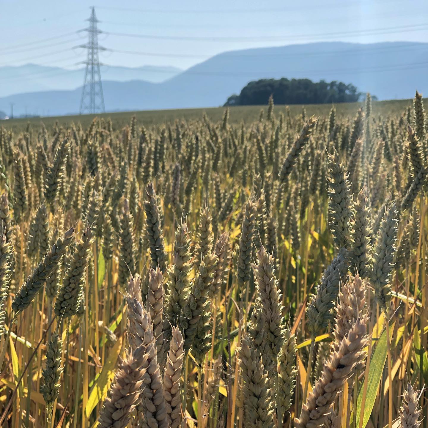 Human power and human âpowerâ