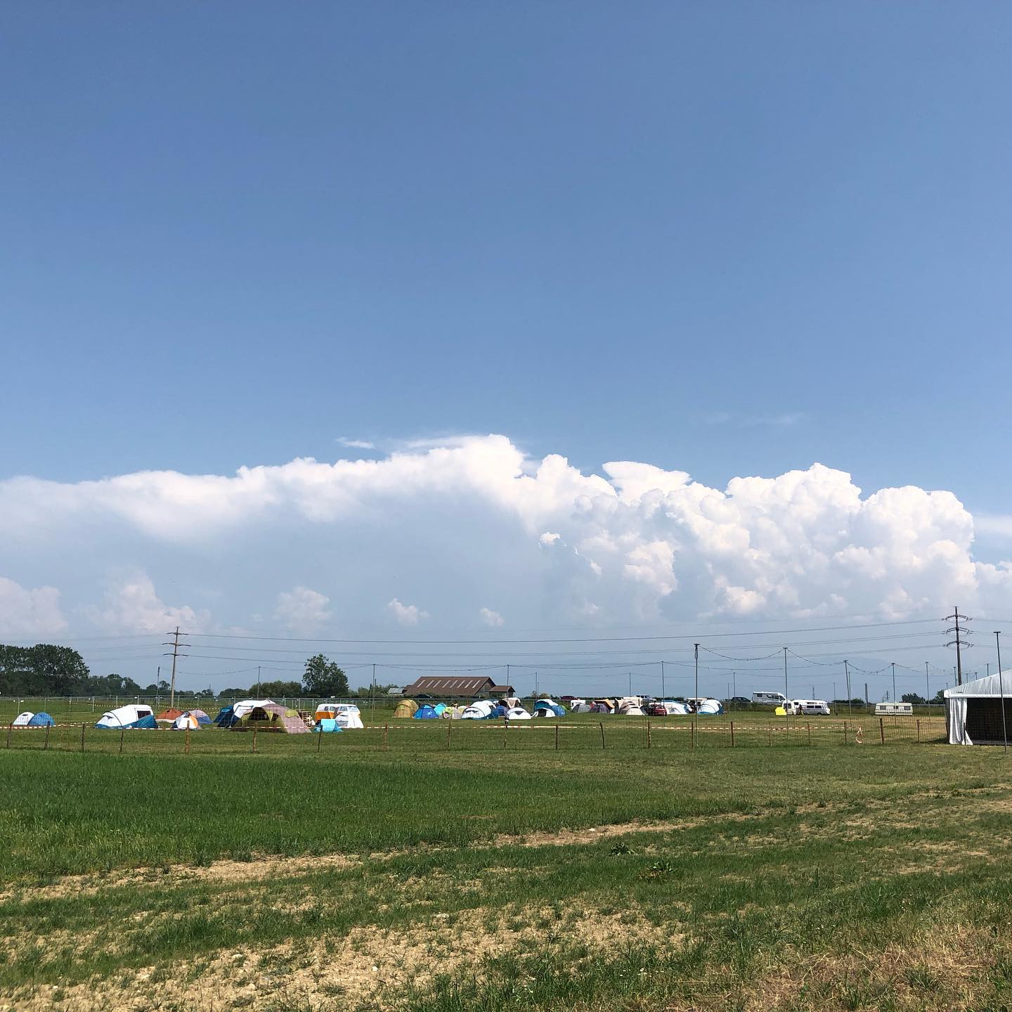 A herd of âfestivaliersâ