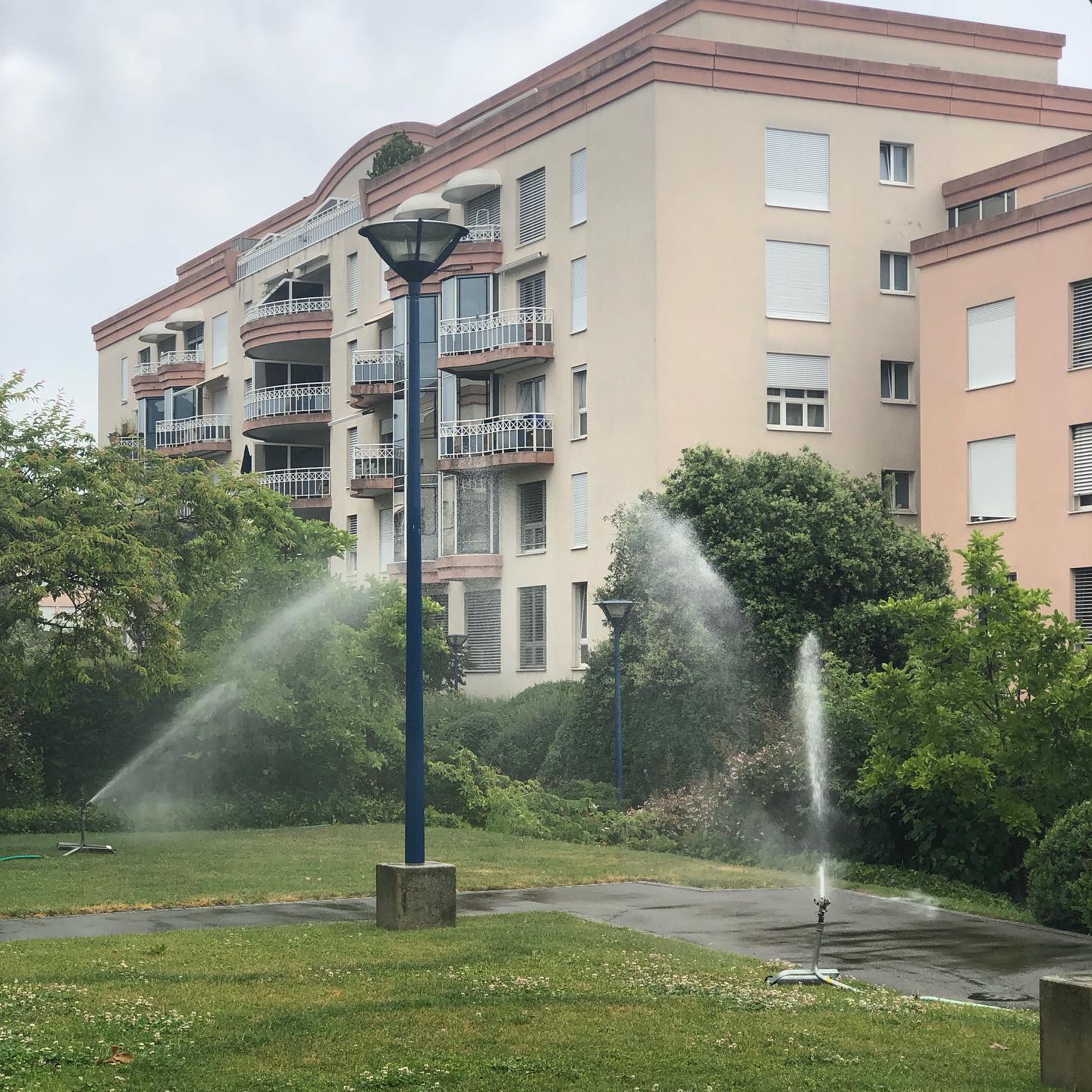 Day of the sprinklers.