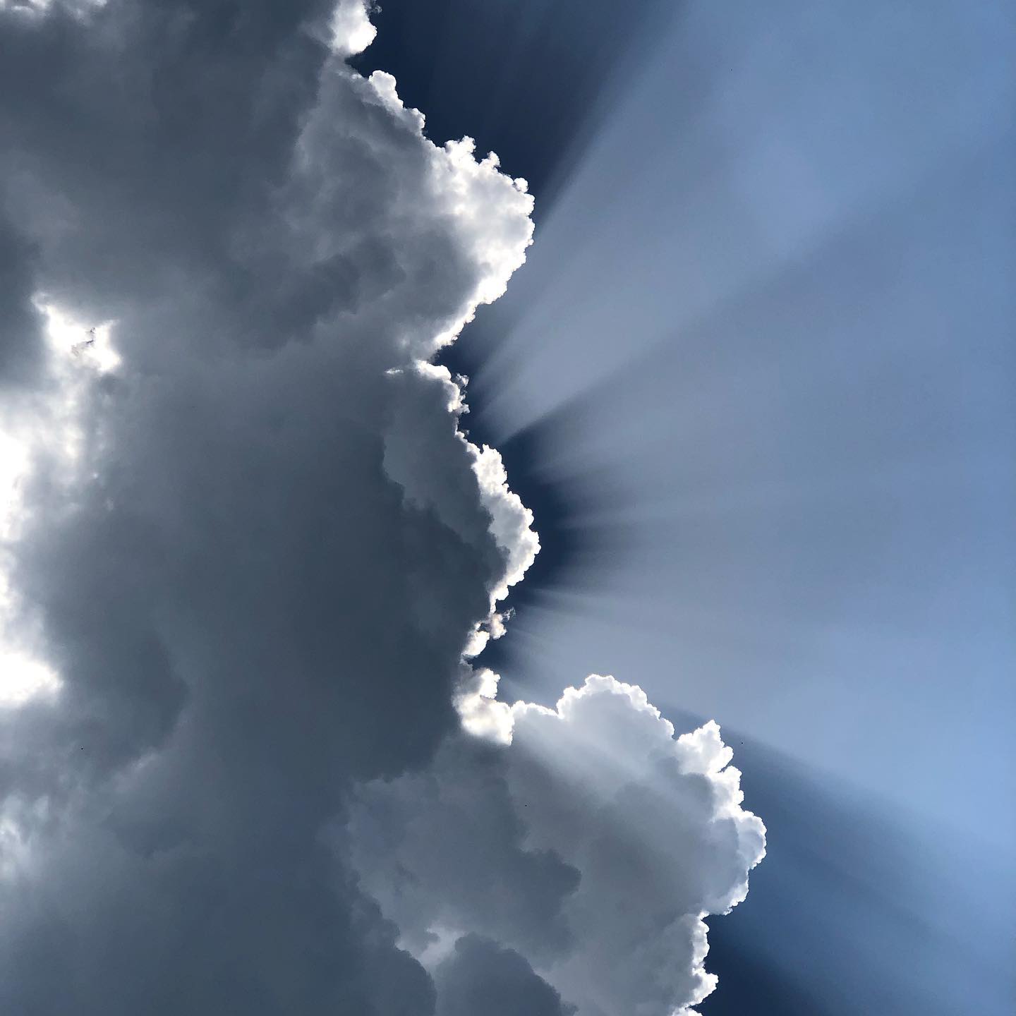 Took this yesterday afternoon when babysitting.