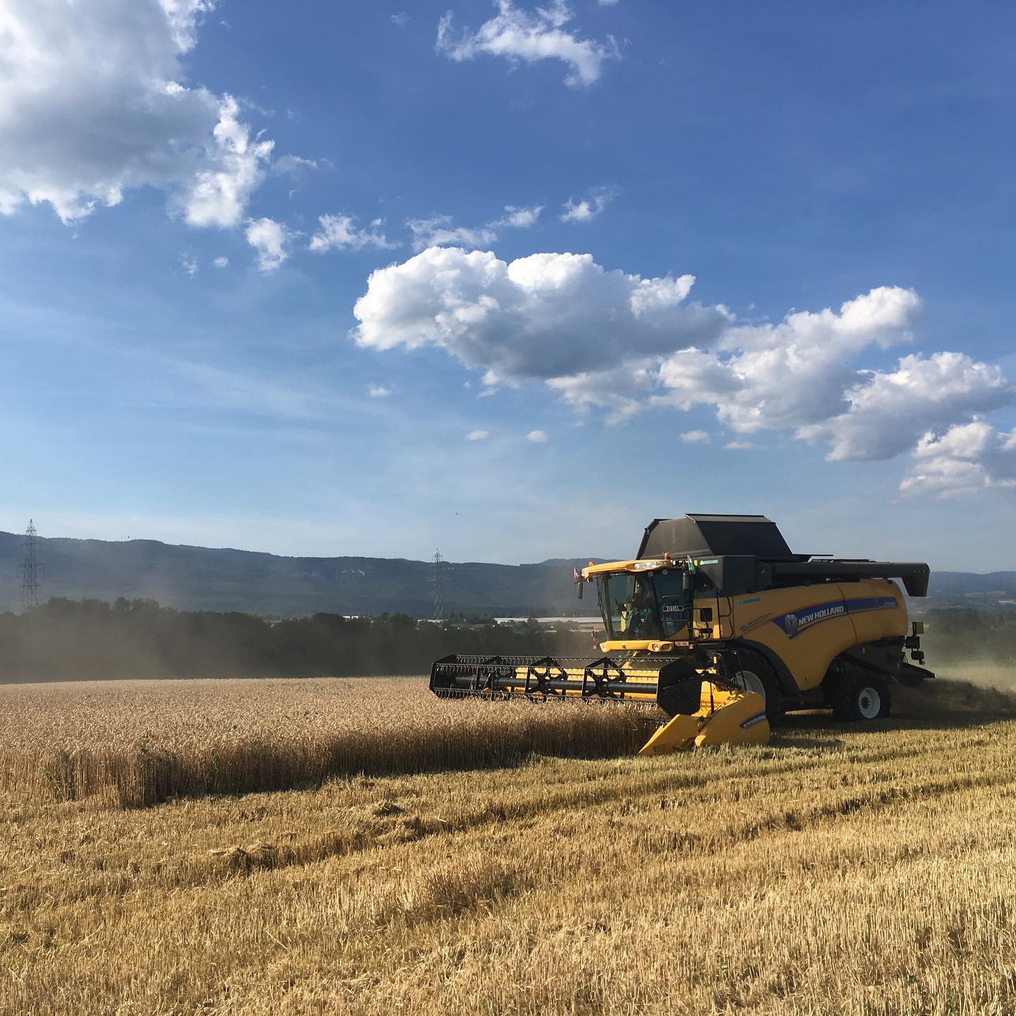 I chose to walk at the right time of day.