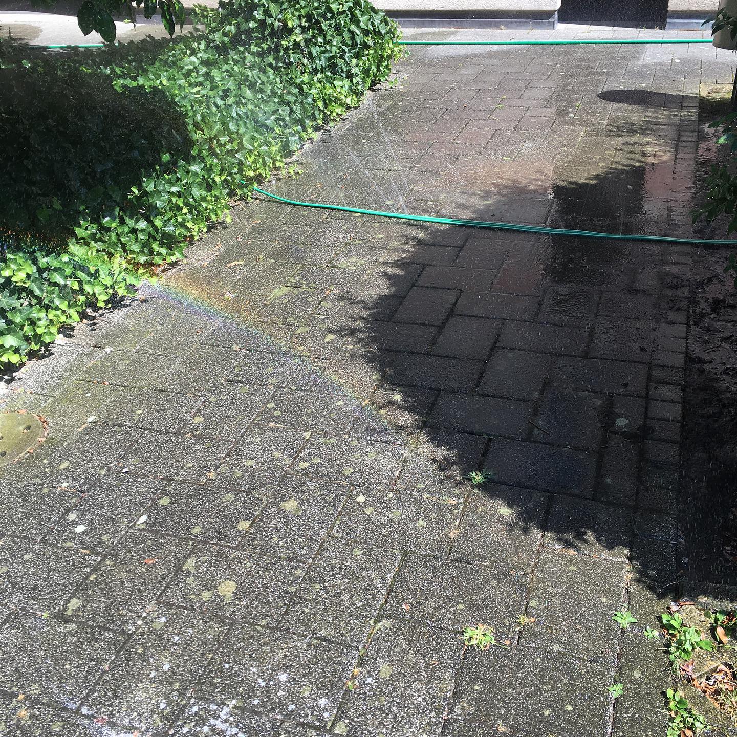 You should also never forget to water bricks.