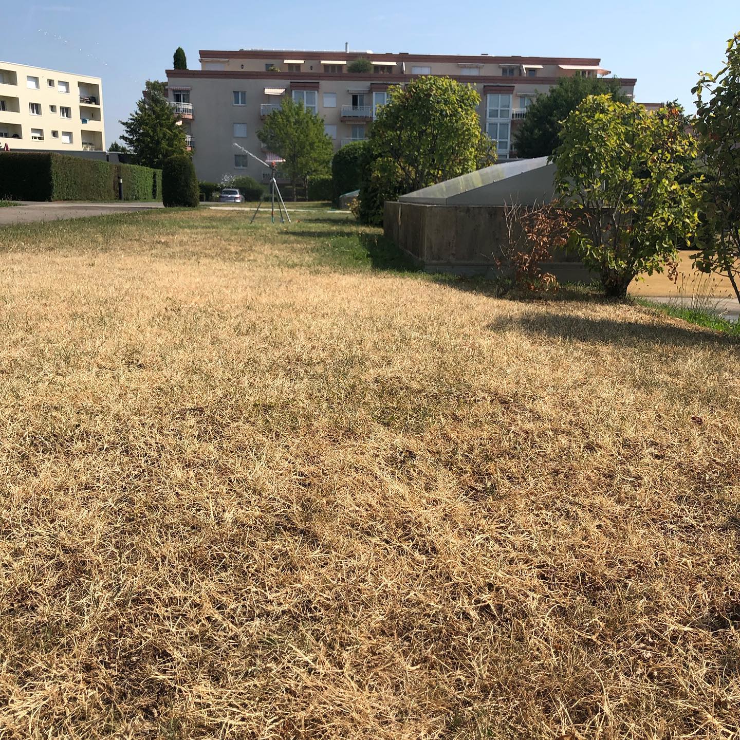 Not Rome. :-) summer time Nyon.