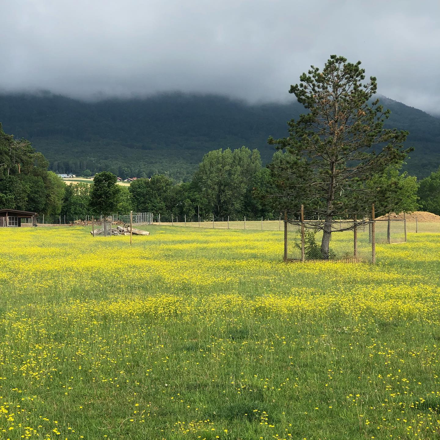 The rainy cold weather is back.