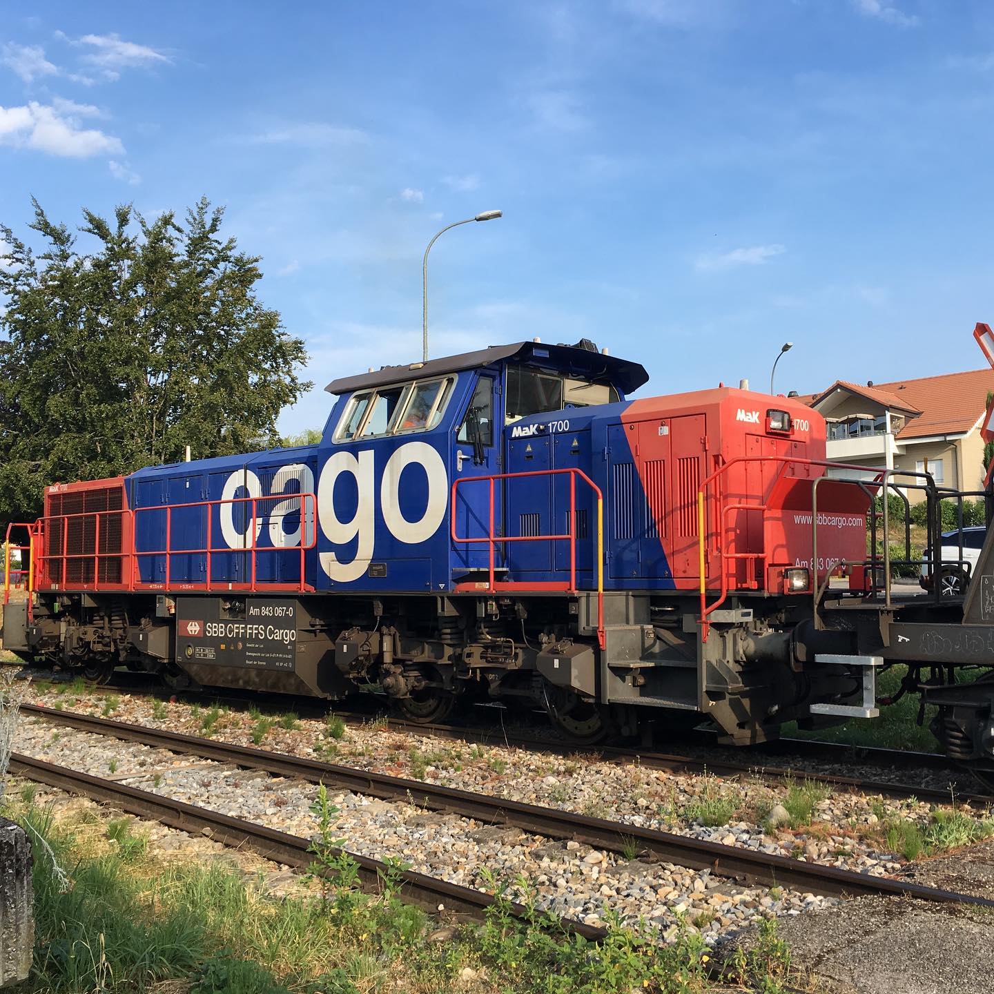 A locomotive this morning was shunting grain carriages to transport wheat from the Landi silo in Eysin.
