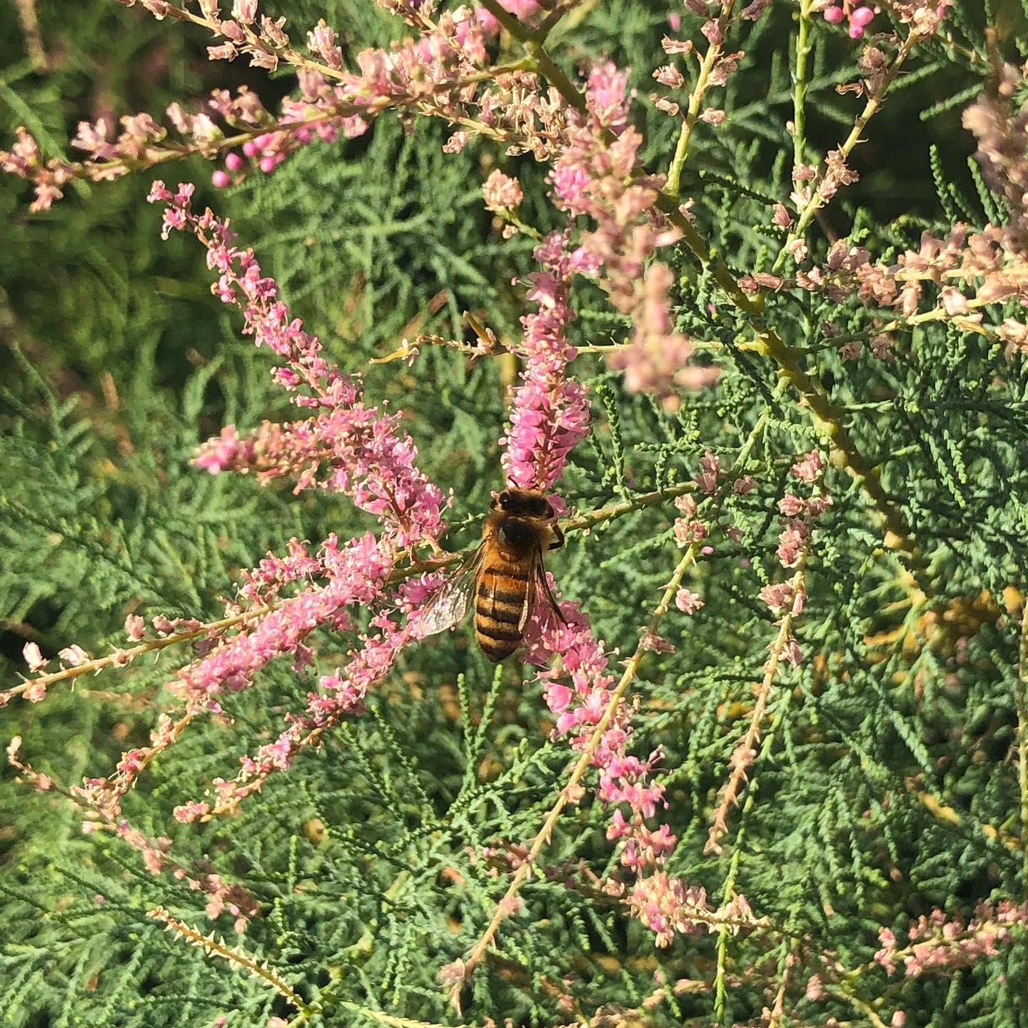 The type of thing you see when youâre not in a car.