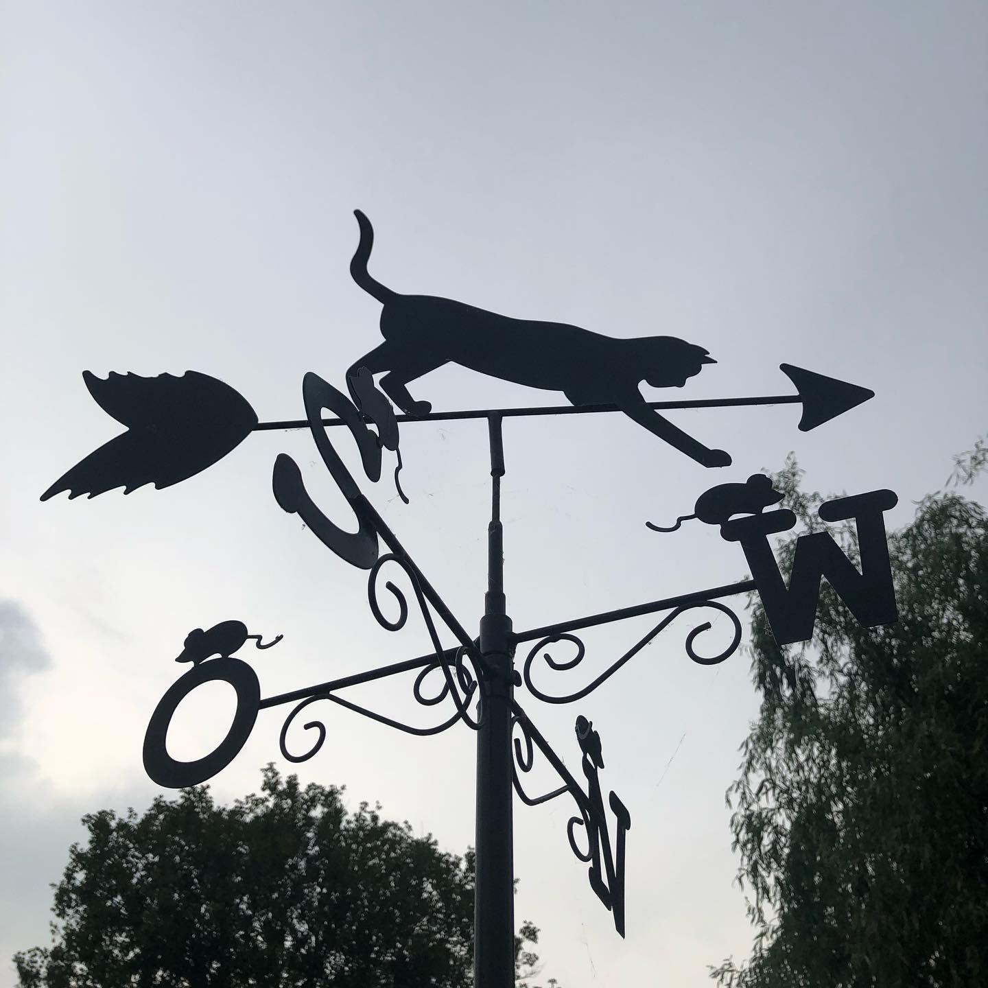 From two days ago. The cat and mice weather vane.