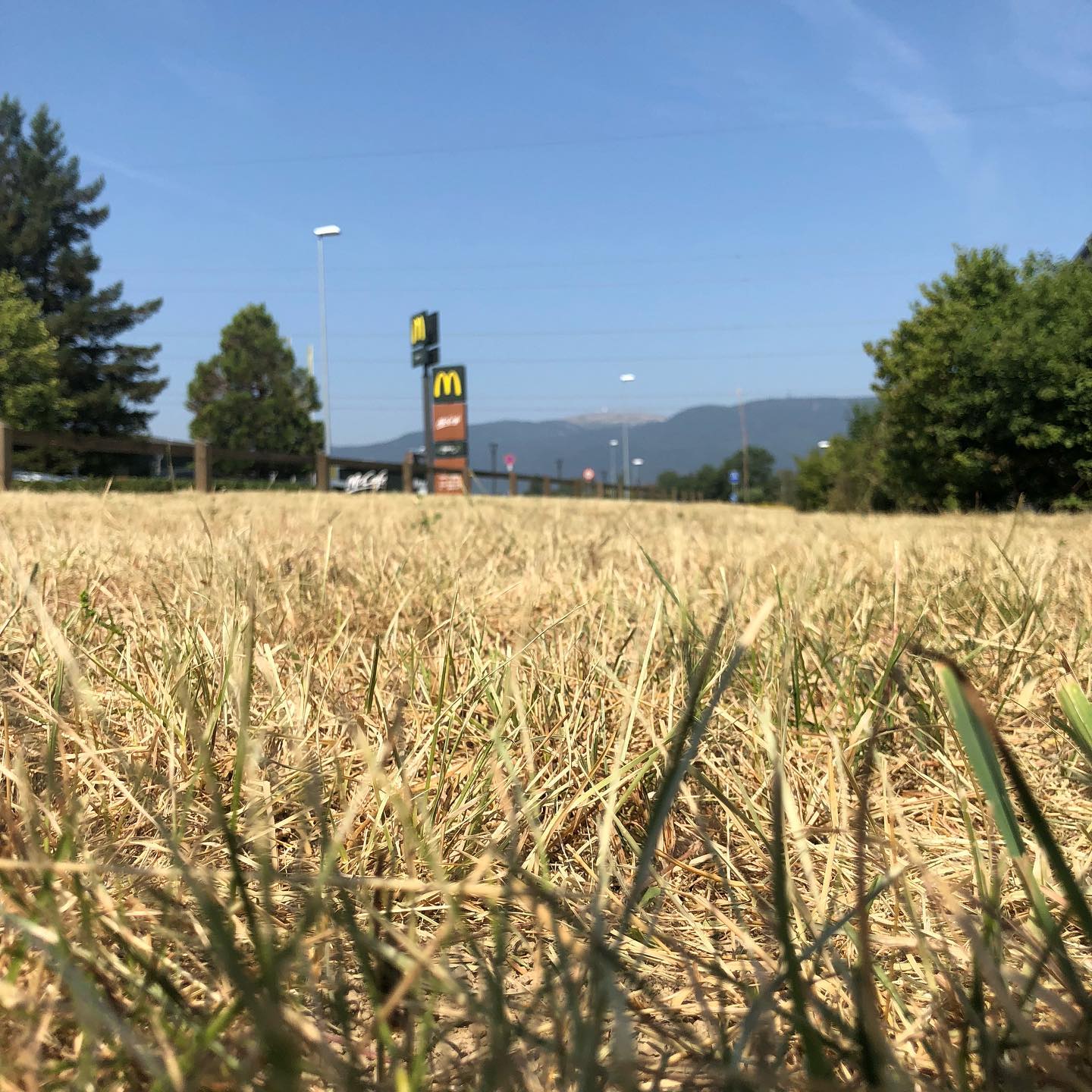 Cross the parched landscape to get to McDonalds.