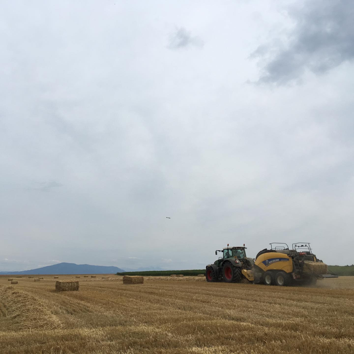 Today in agriculture.