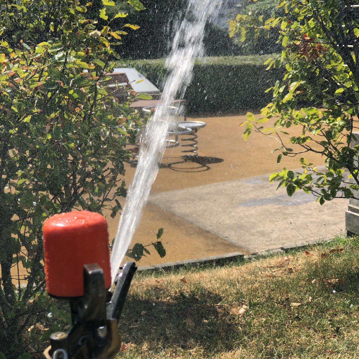 Watering other swings :-)