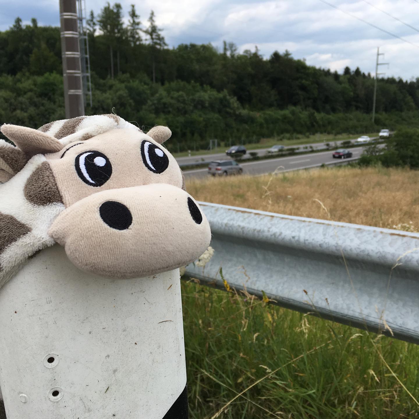 Eco-giraffe is worried about traffic ;-)