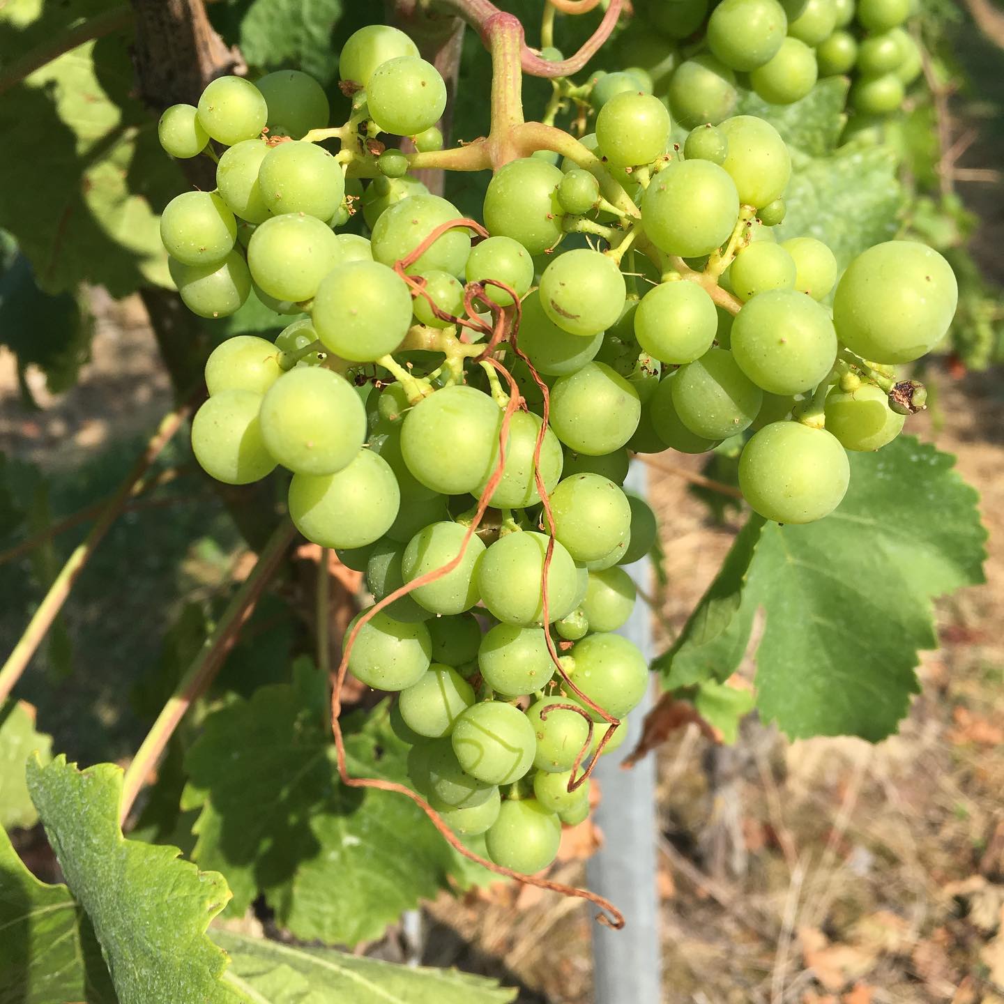 Starting to look better now.