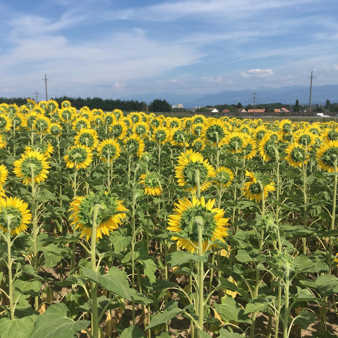 No one bothers with this angle.