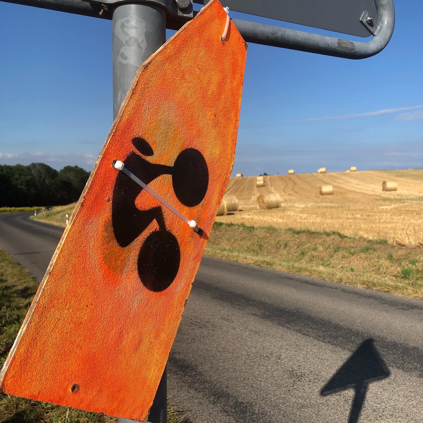 Triathlon cycling with an added challenge. You need to get on top of the bales of hay.