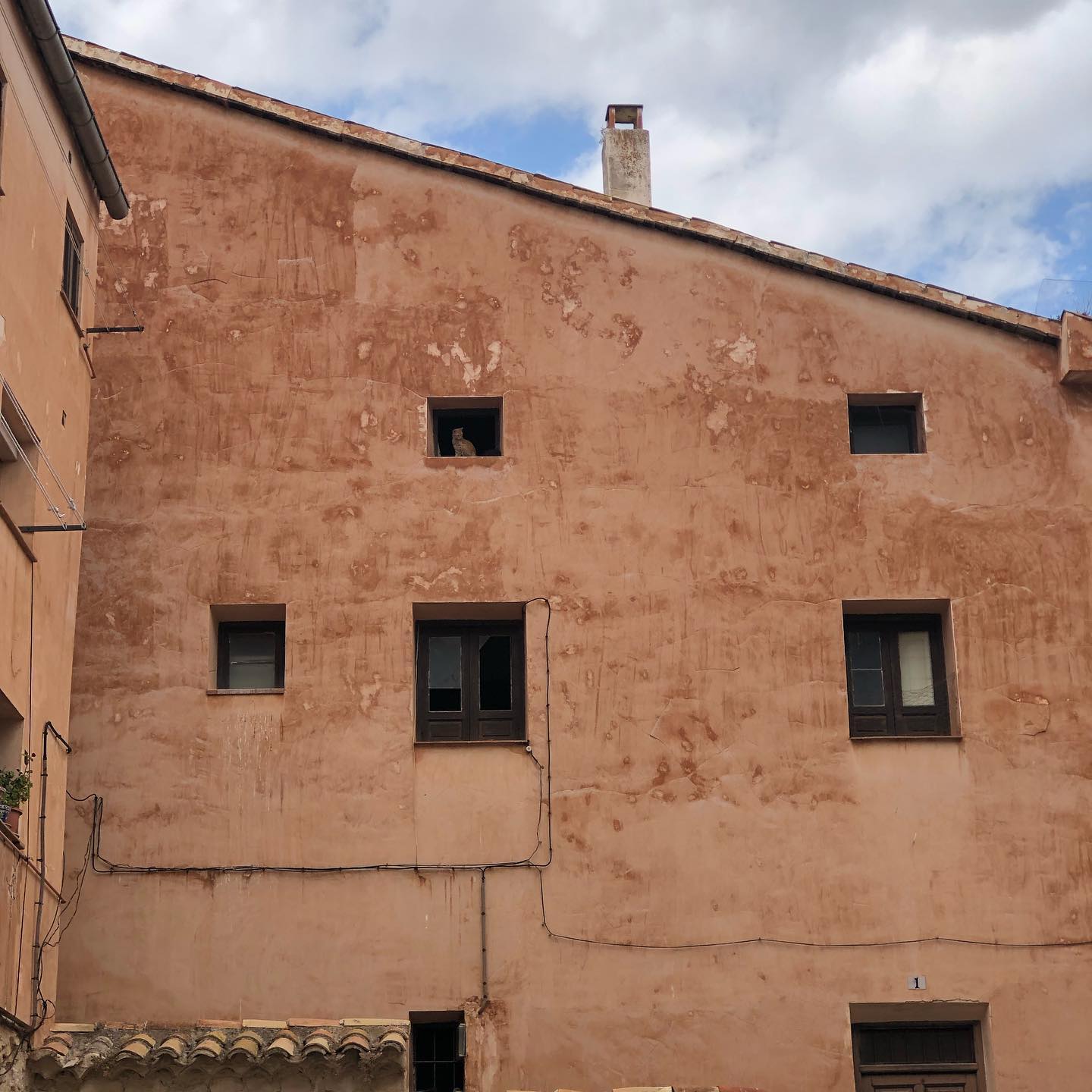 Can you spot the cat?