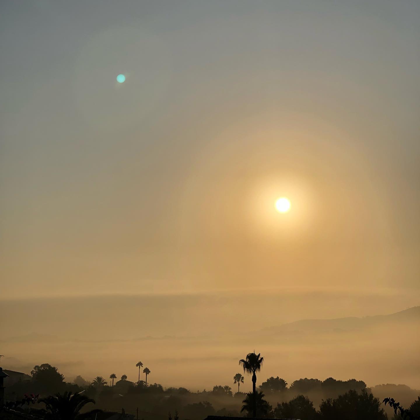 Good Morning Vietn... Spain