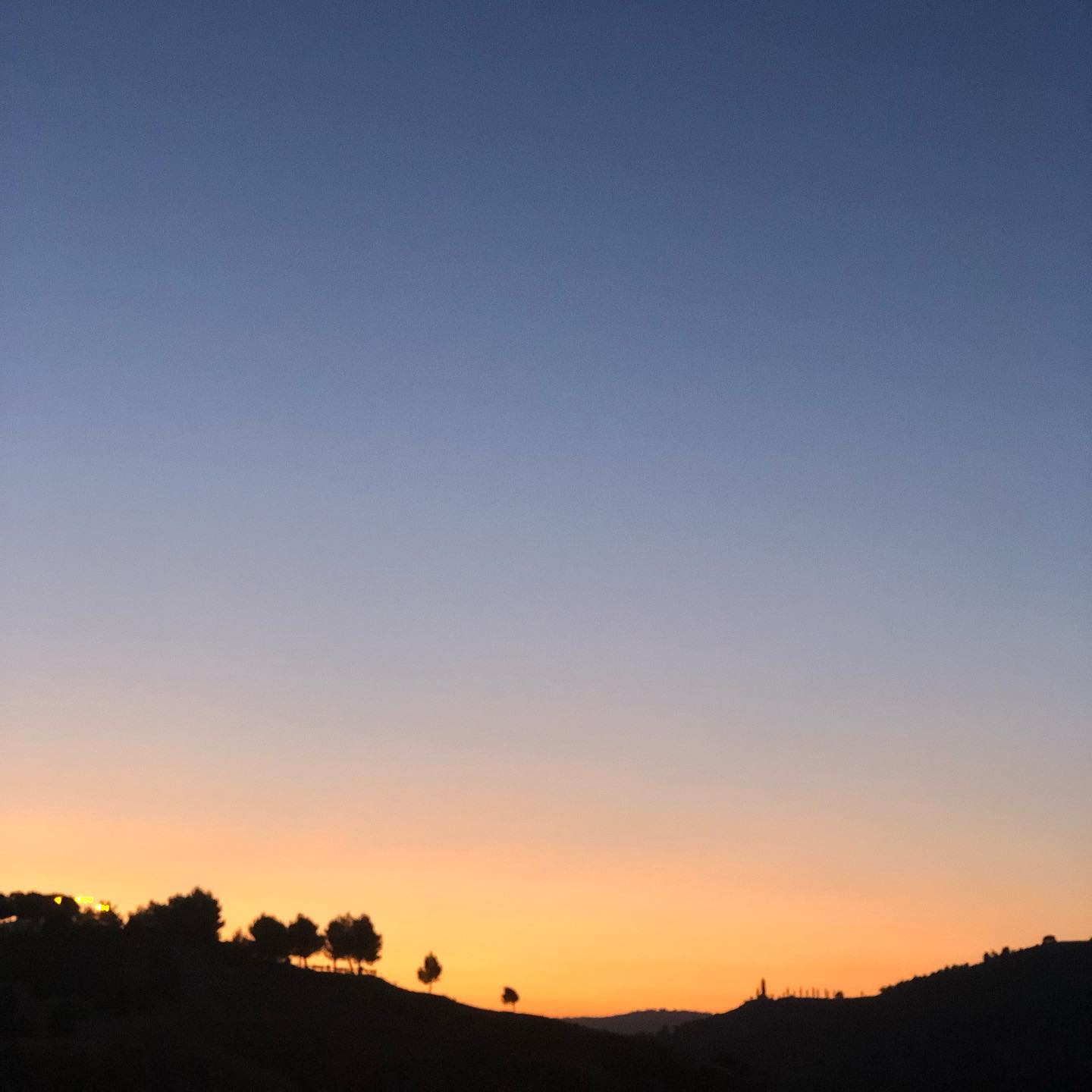 Cocorico, morning world.