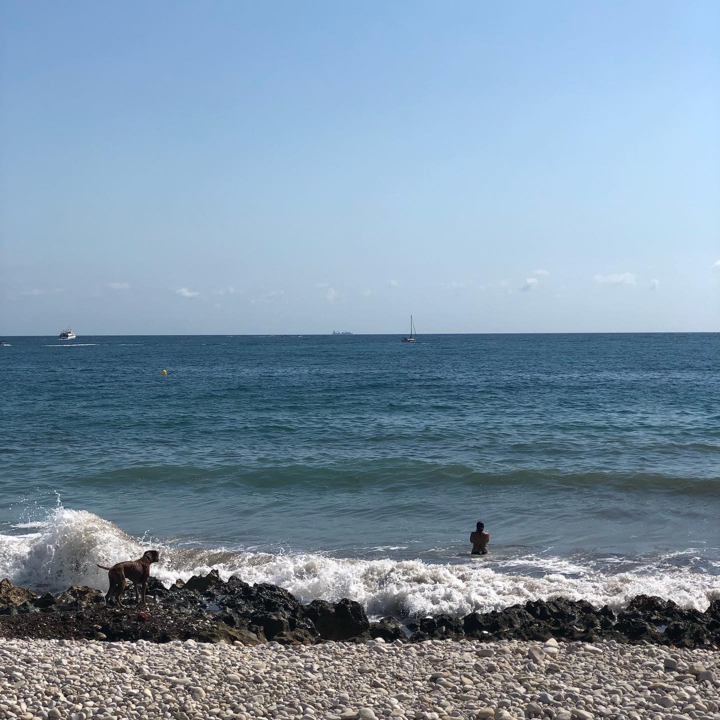 A few waves earlier the dog got soaked by a wave hitting the rocks.