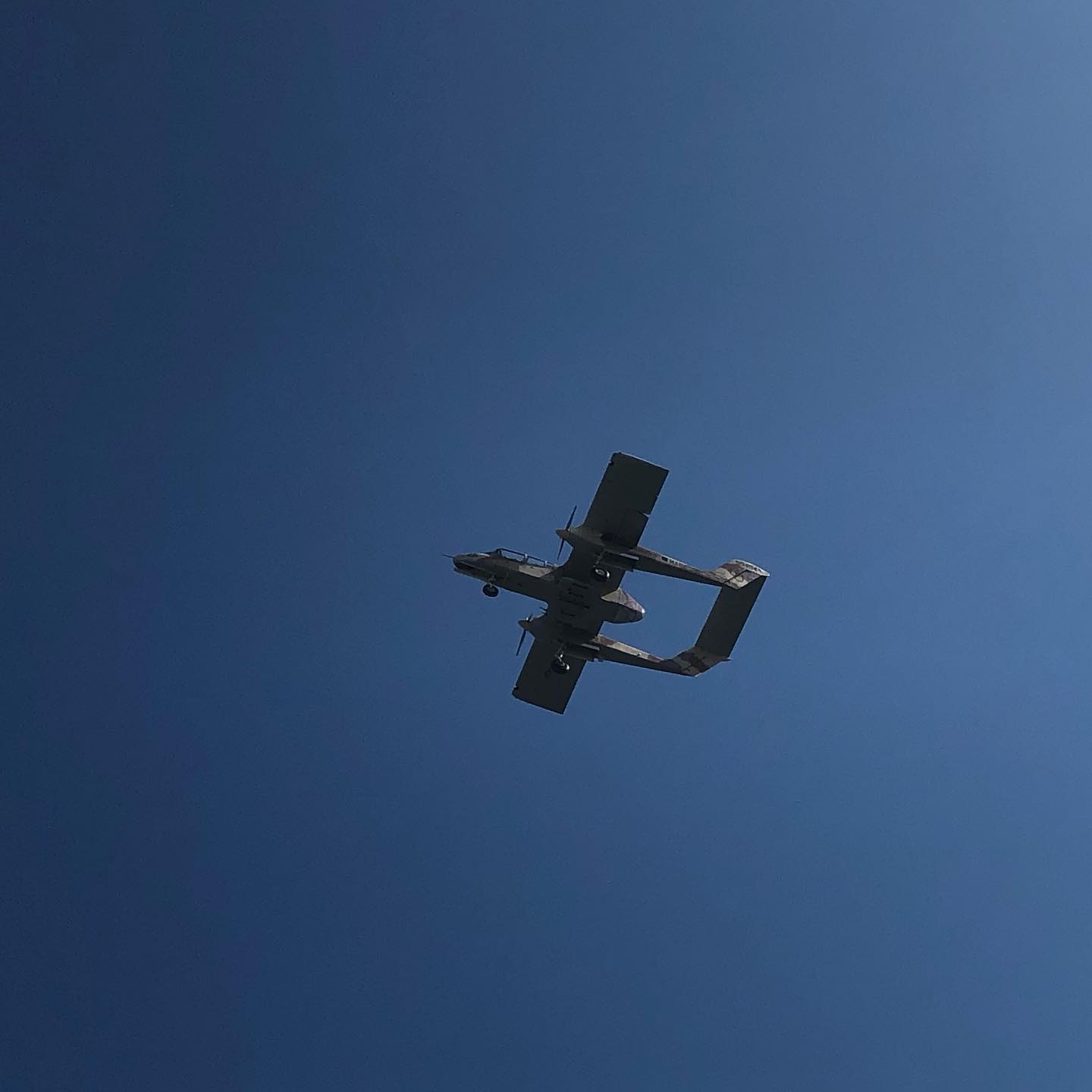 When you see them flying over your home itâs hard to resist