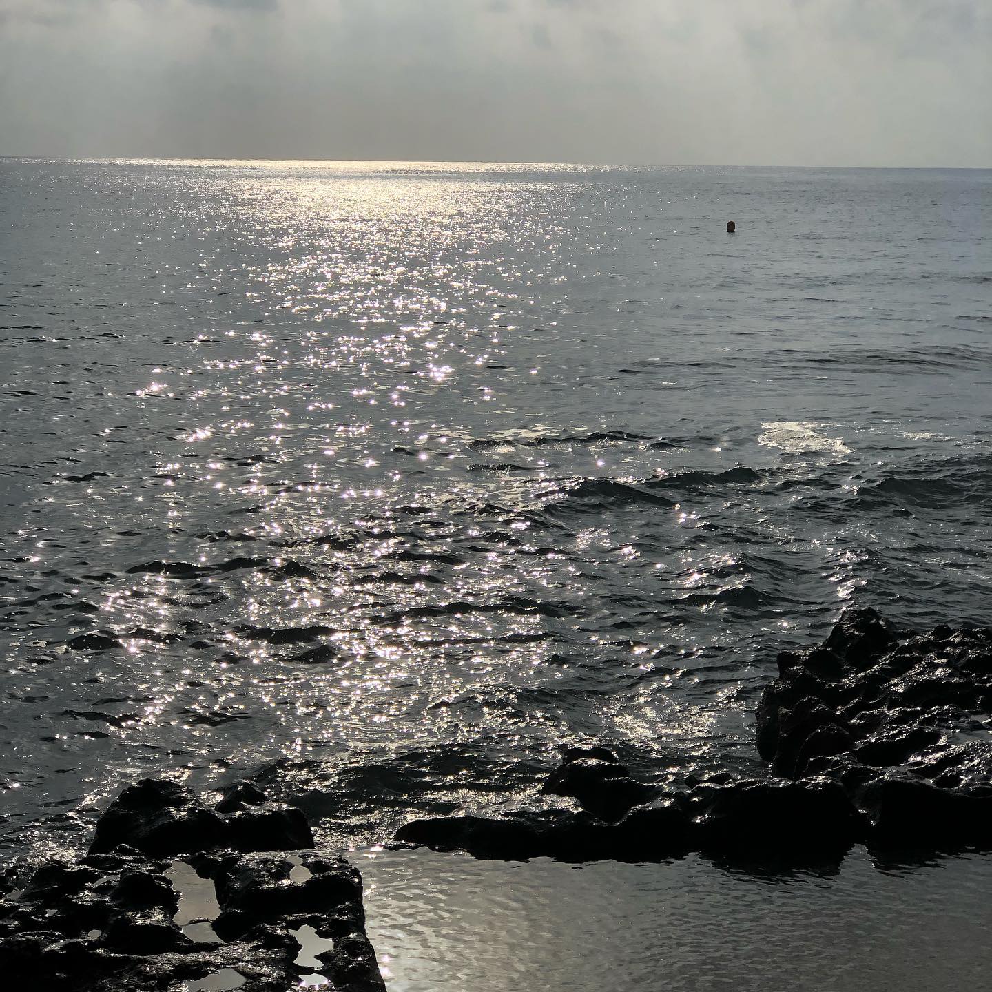 âWhat beautiful big splashes.â âSpend two minutes ready to take a picture. Flat as a Lac LÃ©man.â âStop waiting and splash, the waves are strong againâ.