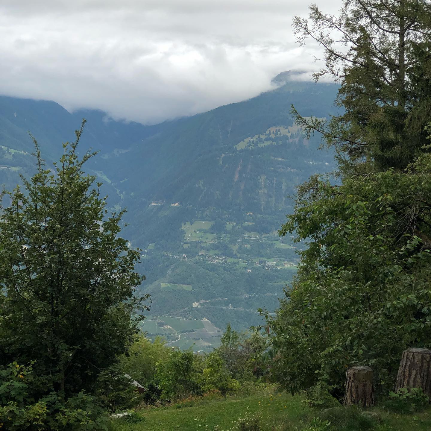 After a summer of fields, finally the mountains.