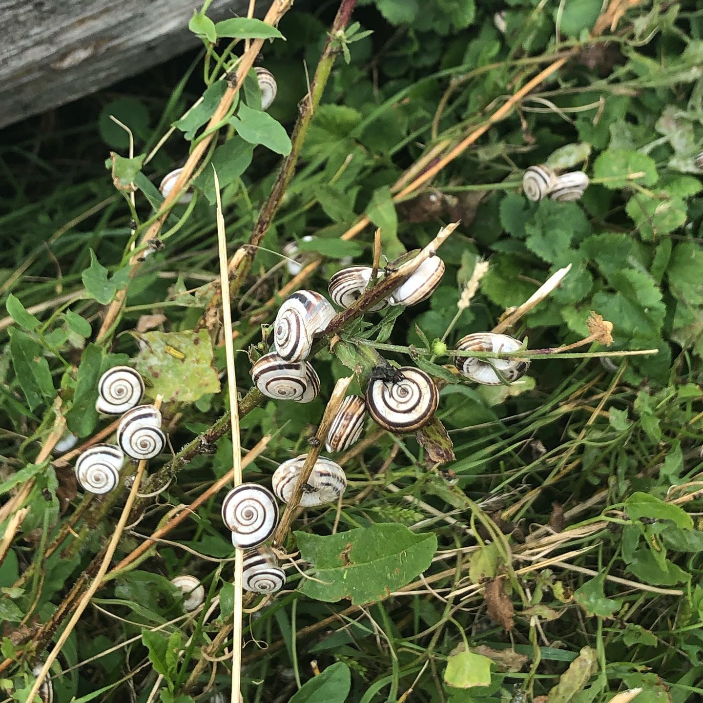 Why would this happen?