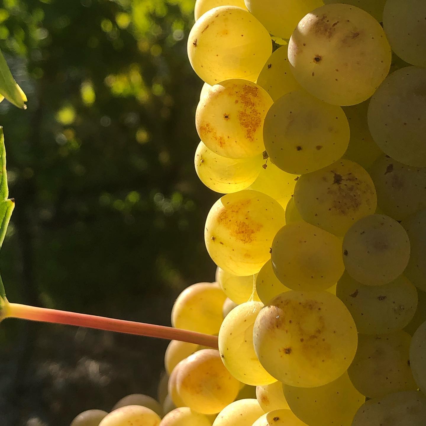 @kdfa @aliciamkenworthy itâs almost that time again.