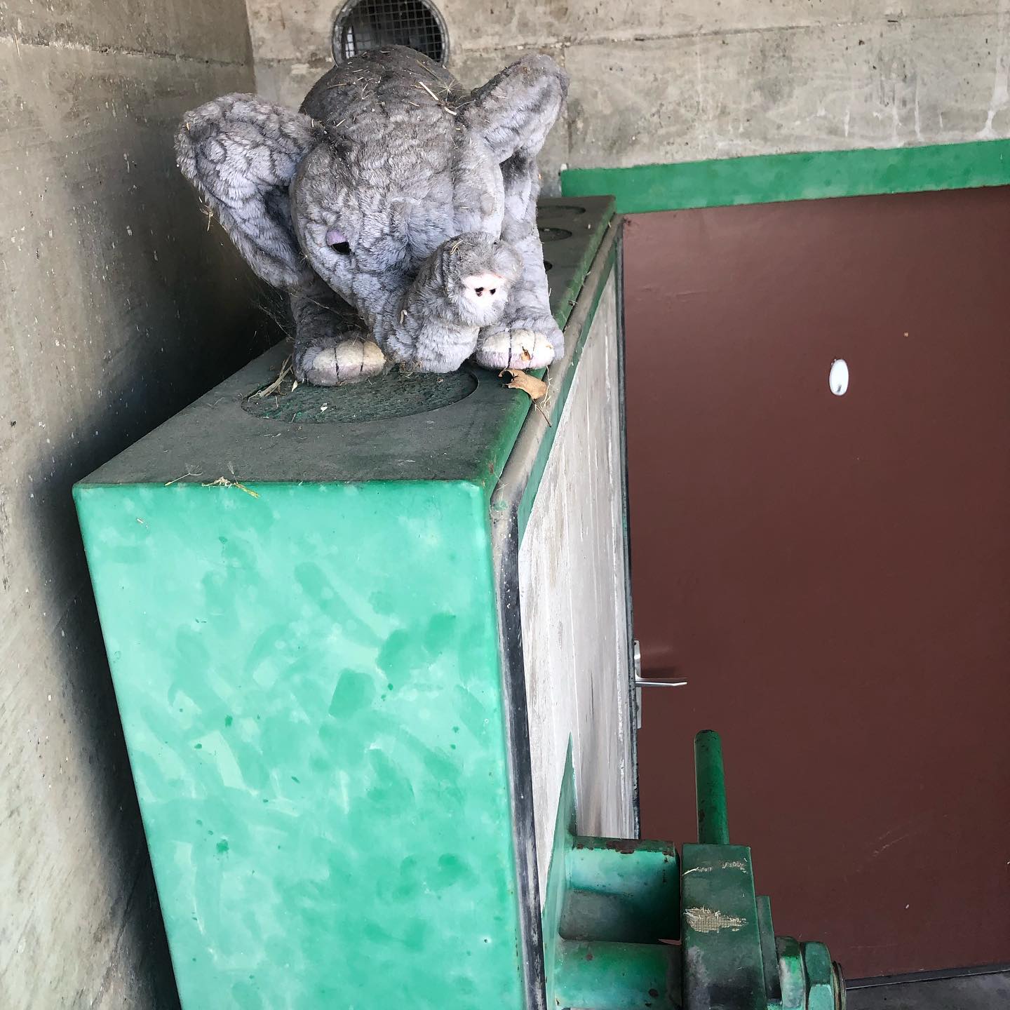 The elephant bunker.