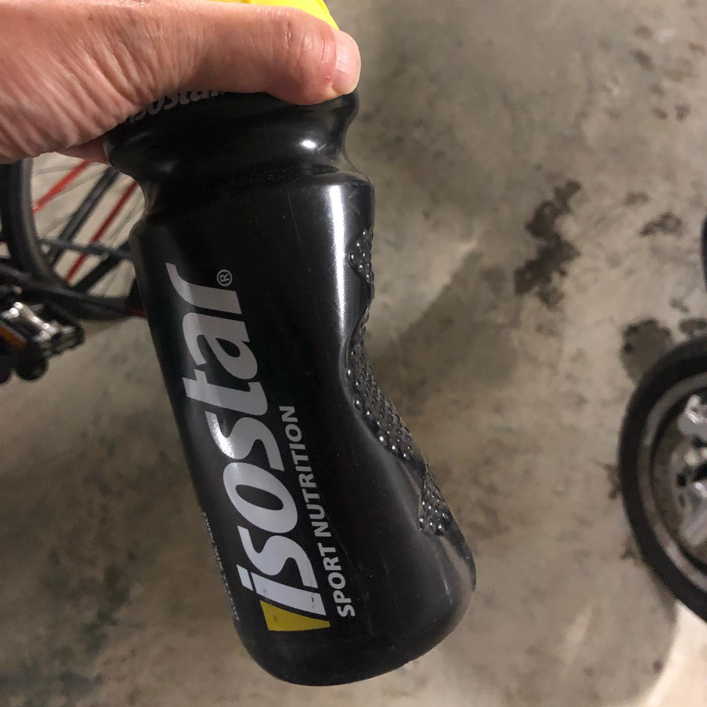 Back from the mountains.