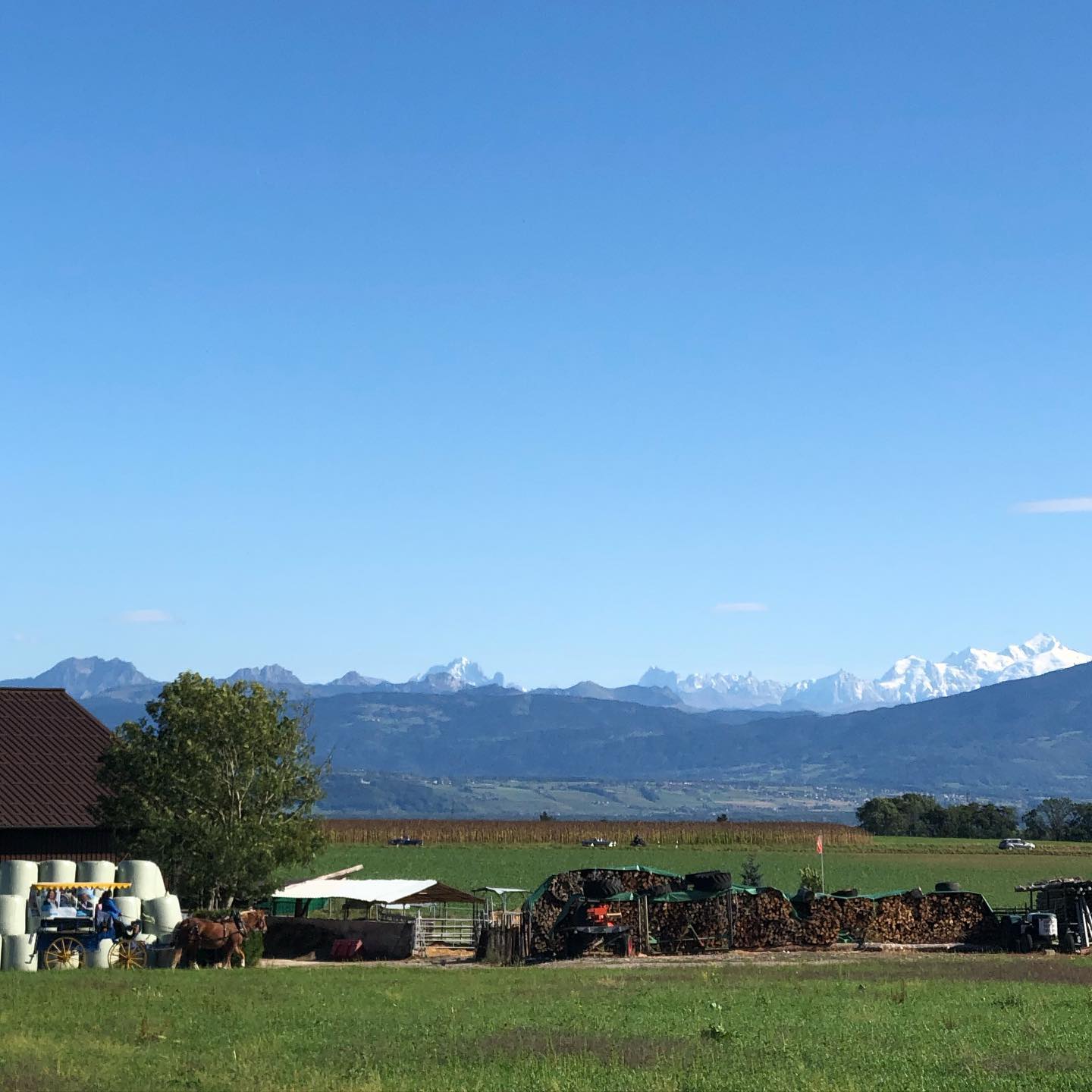 Horse and carriage and the Mt Blanc