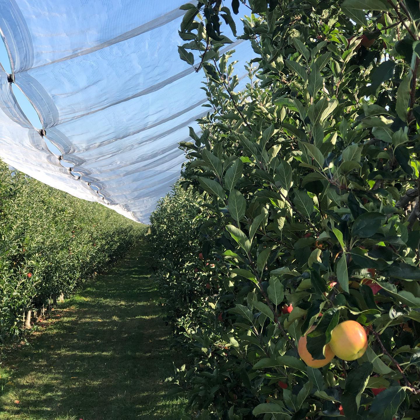 Channelling my inner Steve Jobs ;-)