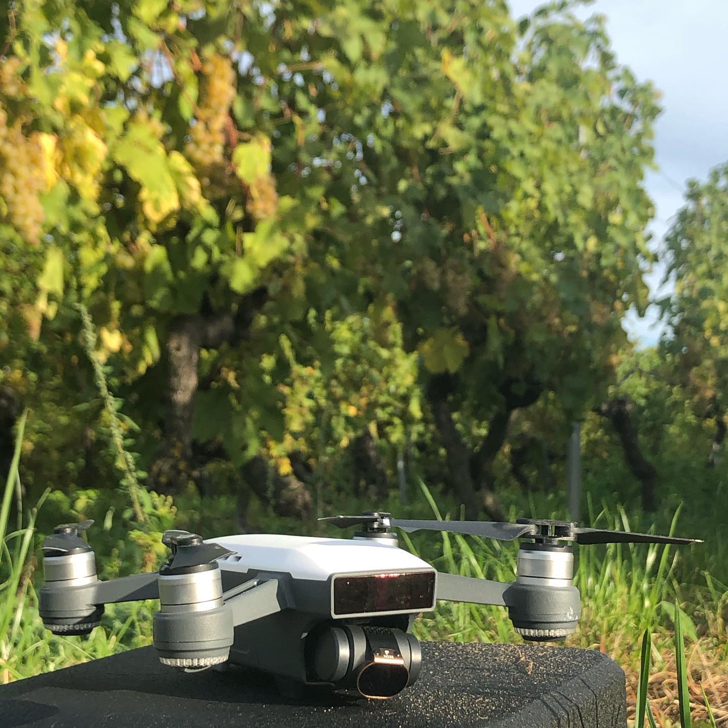 I was waiting for a genius and her dogs to get out of range before taking off again.