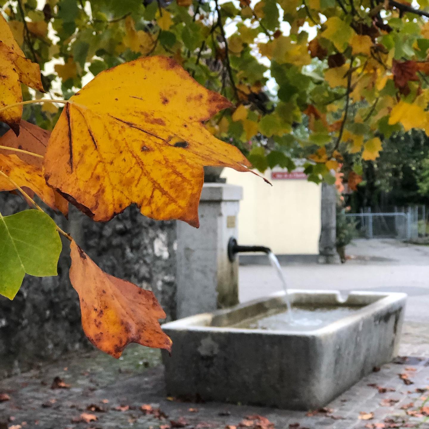 While I was playing Ingress yesterday...