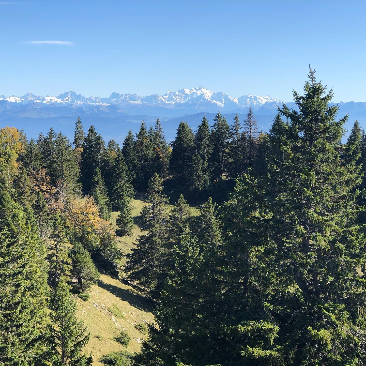 Decided to fly from here. A small private aircraft flew nearby so I landed the drone early.